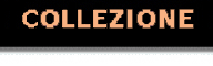 Collezione Personale