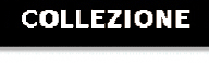 Collezione Personale